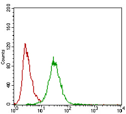 Flow Cytometry - Anti-ZEB1 antibody [2A8A6] (AB181451), expandable thumbnail