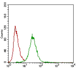 Flow Cytometry - Anti-ZEB1 antibody [2A8A6] (AB181451)