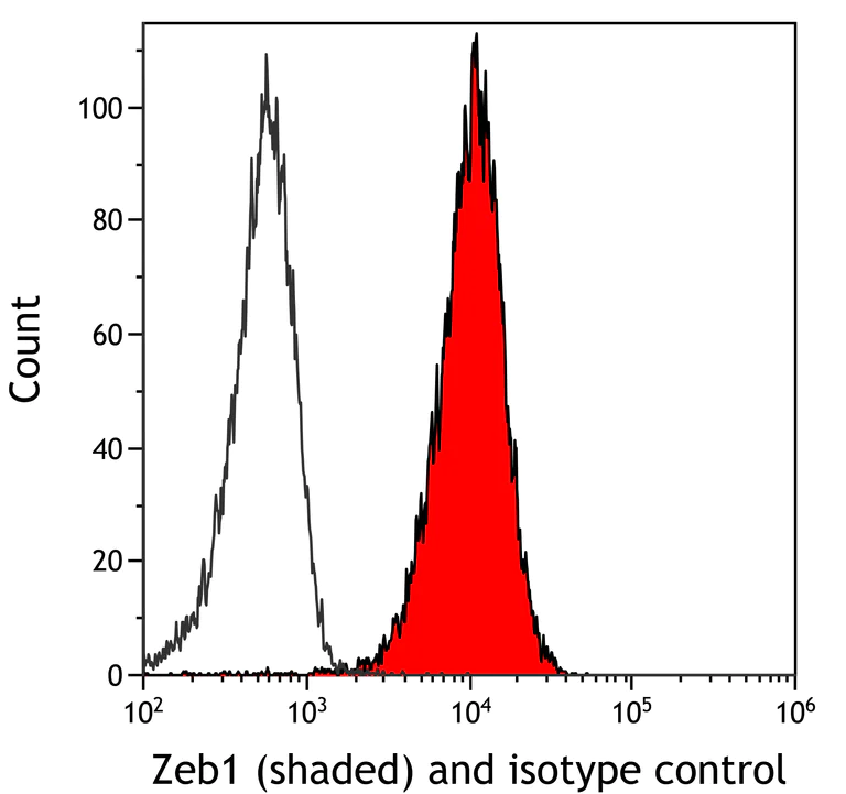 Flow Cytometry - Anti-ZEB1 antibody [BLR217K] - BSA free (AB314092)