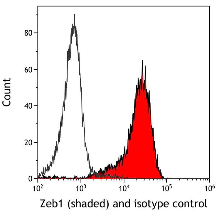 Flow Cytometry - Anti-ZEB1 antibody [BLR217K] - BSA free (AB314092)