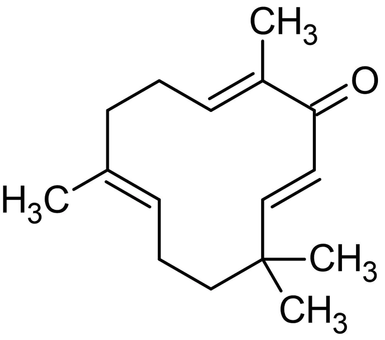 Chemical Structure - Zerumbone, NF-kappaB inhibitor (AB142474)