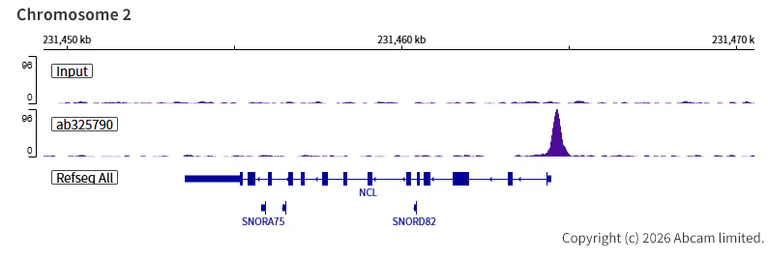 ChIP-sequencing - Anti-Zfp281/ZNF281 antibody [EPR30593-518] (AB325790)