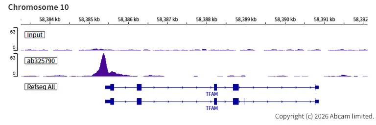ChIP-sequencing - Anti-Zfp281/ZNF281 antibody [EPR30593-518] (AB325790)