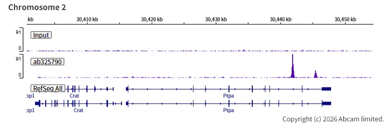 ChIP-sequencing - Anti-Zfp281/ZNF281 antibody [EPR30593-518] (AB325790)