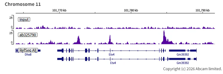 ChIP-sequencing - Anti-Zfp281/ZNF281 antibody [EPR30593-518] (AB325790)