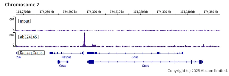 ChIP-sequencing - Anti-Zfp57 antibody [EPR28485-527] (AB324145)