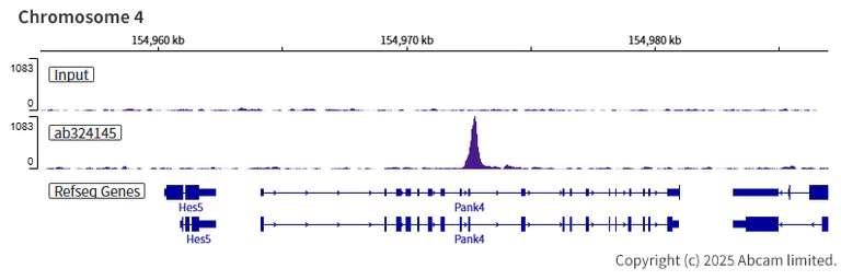 ChIP-sequencing - Anti-Zfp57 antibody [EPR28485-527] (AB324145)