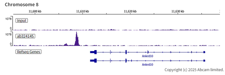 ChIP-sequencing - Anti-Zfp57 antibody [EPR28485-527] (AB324145)