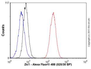 Anti-Zic1 antibody [EPR7291(2)] (ab134951) | Abcam