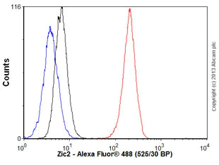Flow Cytometry (Intracellular) - Anti-Zic2 antibody [EPR7790] - BSA and Azide free (AB236069)