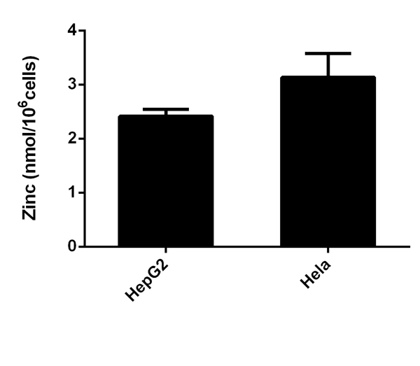 Functional Studies - Zinc Assay Kit (Colorimetric) (AB102507)