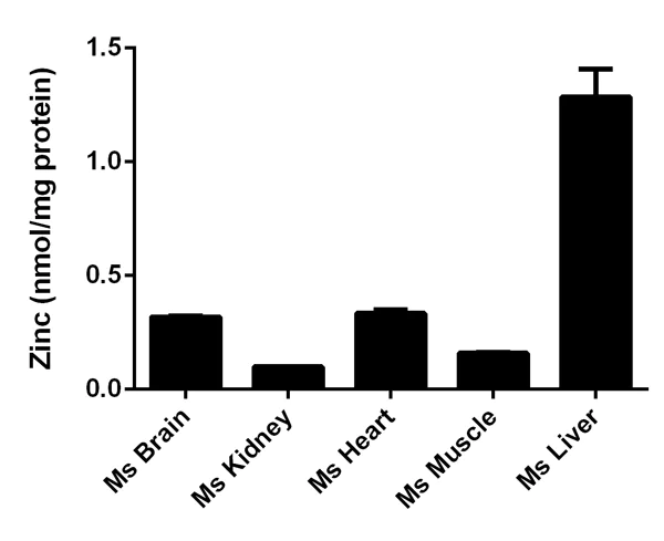 Functional Studies - Zinc Assay Kit (Colorimetric) (AB102507)