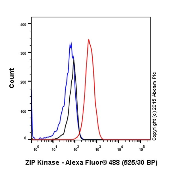 Flow Cytometry (Intracellular) - Anti-ZIP Kinase antibody [EPR18809-86] (ab210528), expandable thumbnail