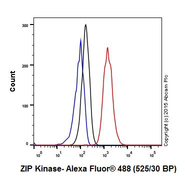 Flow Cytometry (Intracellular) - Anti-ZIP Kinase antibody [EPR18809-86] (ab210528), expandable thumbnail