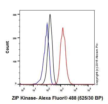 Flow Cytometry (Intracellular) - Anti-ZIP Kinase antibody [EPR18809-86] - BSA and Azide free (AB251519)