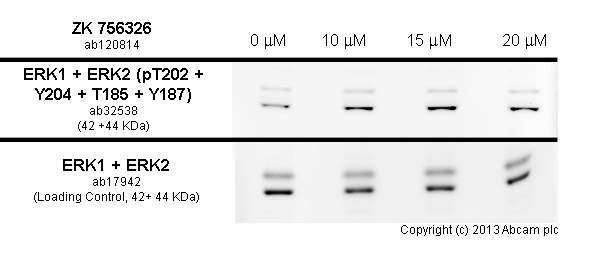 ZK 756326, non-peptide CCR8 chemokine receptor agonist