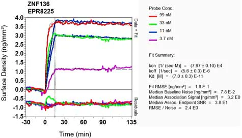 OI-RD Scanning - Anti-ZNF136 antibody [EPR8225] - BSA and Azide free (AB248299)