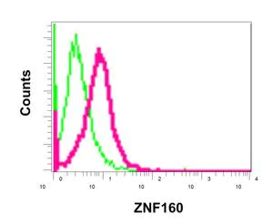 Flow Cytometry (Intracellular) - Anti-ZNF160 antibody [EPR12523] - BSA and Azide free (AB249878)
