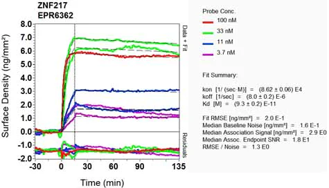 OI-RD Scanning - Anti-ZNF217 antibody [EPR6362] - BSA and Azide free (AB240008)