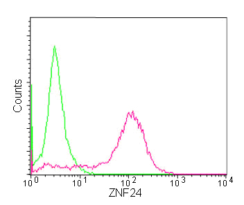 Flow Cytometry (Intracellular) - Anti-ZNF24 antibody [EPR13975] - BSA and Azide free (AB250134)