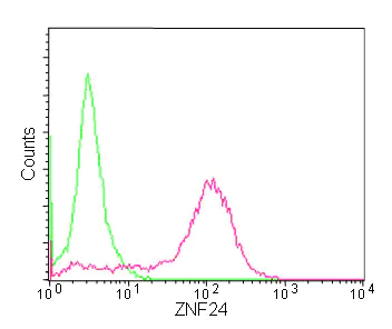 Flow Cytometry (Intracellular) - Anti-ZNF24 antibody [EPR13975] - BSA and Azide free (AB250134)