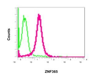 Flow Cytometry (Intracellular) - Anti-ZNF365 antibody [EPR10216] - BSA and Azide free (AB249328), expandable thumbnail