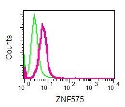 Flow Cytometry (Intracellular) - Anti-ZNF575 antibody [EPR9027] - BSA and Azide free (AB248850), expandable thumbnail