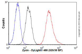 Flow Cytometry - Anti-Zyxin antibody [2D1] (AB58210), expandable thumbnail