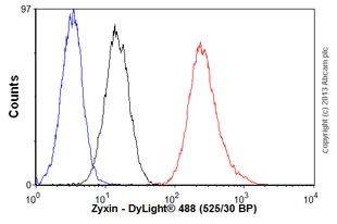 Flow Cytometry - Anti-Zyxin antibody [2D1] (AB58210)